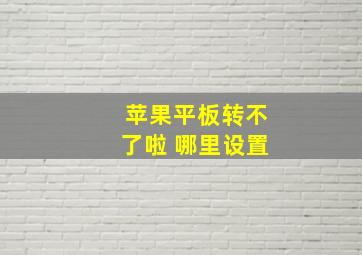 苹果平板转不了啦 哪里设置